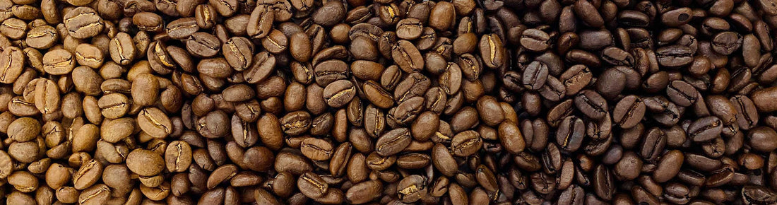 How to Choose the Best Coffee Beans for Your Tastes and Needs